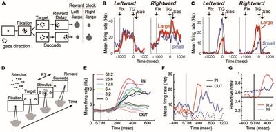 Parsing Heterogeneous Striatal Activity